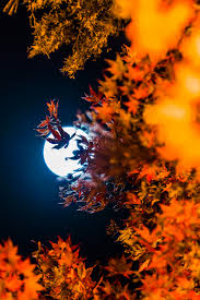 Autumn Moon Festival